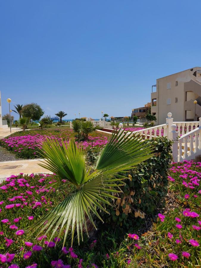 Casa Baja Naturista Con Patio En Primera Linea De Playa Con Piscina Comunitaria! Vera Εξωτερικό φωτογραφία