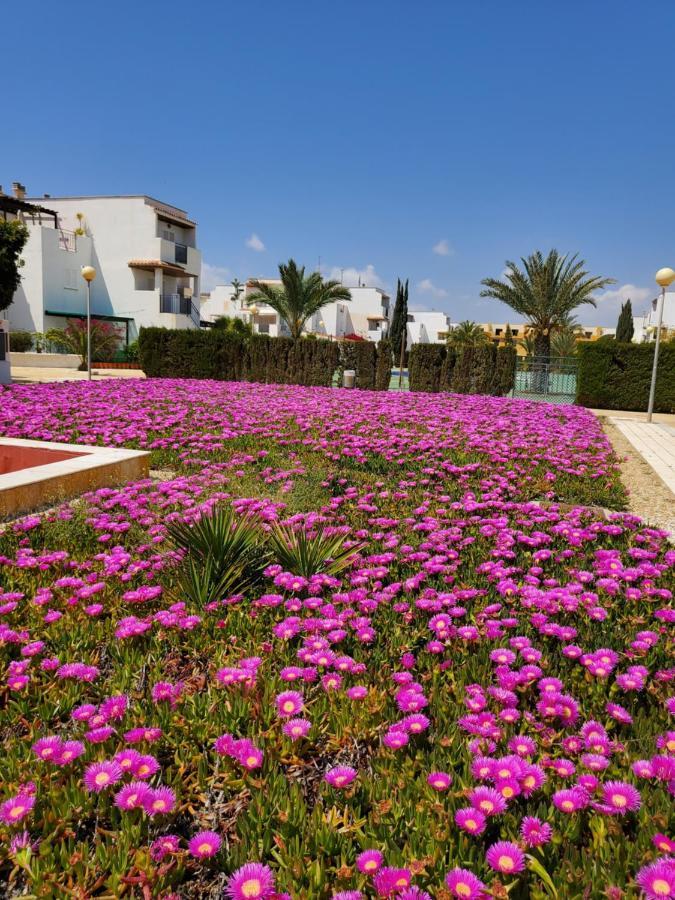 Casa Baja Naturista Con Patio En Primera Linea De Playa Con Piscina Comunitaria! Vera Εξωτερικό φωτογραφία